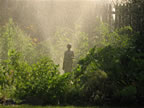 Bardet's Garden