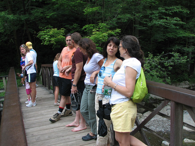 09chenangobridge1
