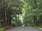 hunterbrook
