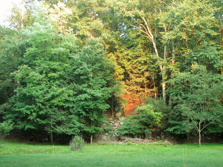 sarnoffhill