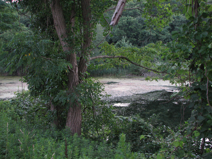 IMG_4257